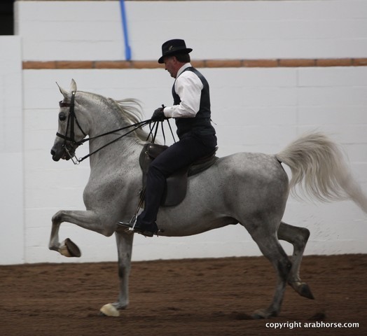 2013 Stachowski Select Sale