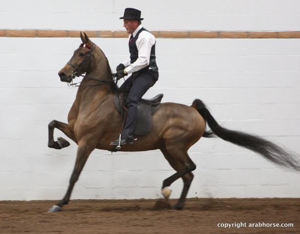 2013 Stachowski Select Sale