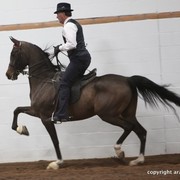 2013 Stachowski Select Sale