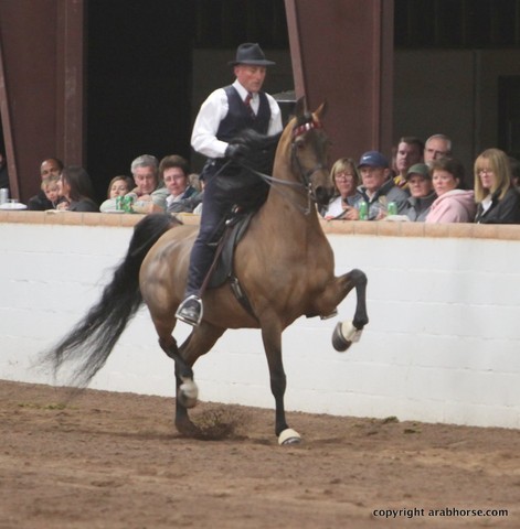 2013 Stachowski Select Sale