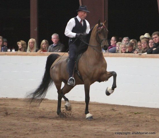 2013 Stachowski Select Sale