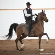 2013 Stachowski Select Sale