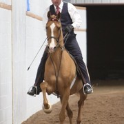 2013 Stachowski Select Sale