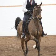 2013 Stachowski Select Sale