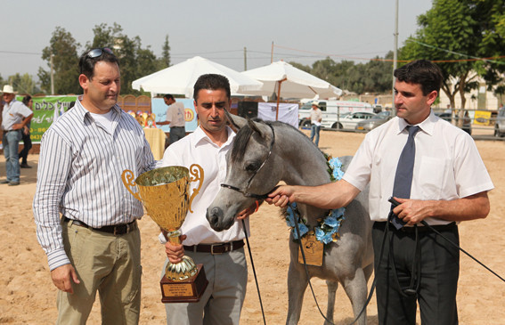 Lutfina AA - Lutfina AA