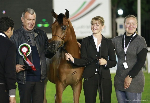 2013 Abu Dhabi Championships