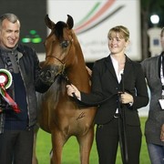 2013 Abu Dhabi Championships