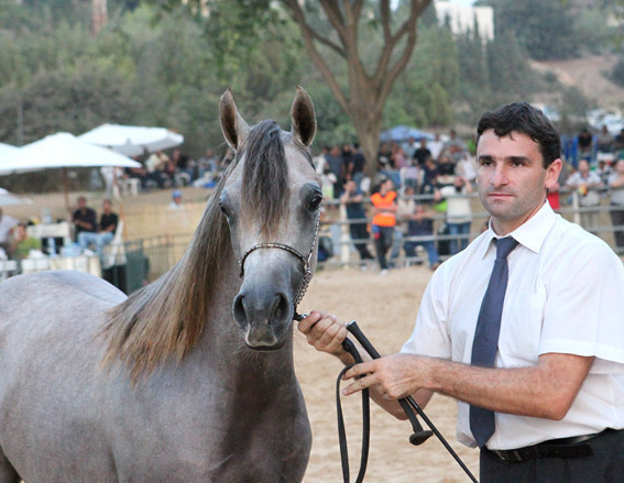 Nashwah AA - Nashwah AA