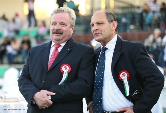 2013 Abu Dhabi Championships