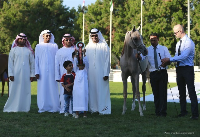 2013 Abu Dhabi Championships