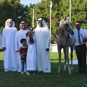 2013 Abu Dhabi Championships