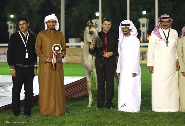 2013 Abu Dhabi Championships