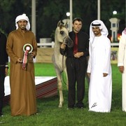 2013 Abu Dhabi Championships