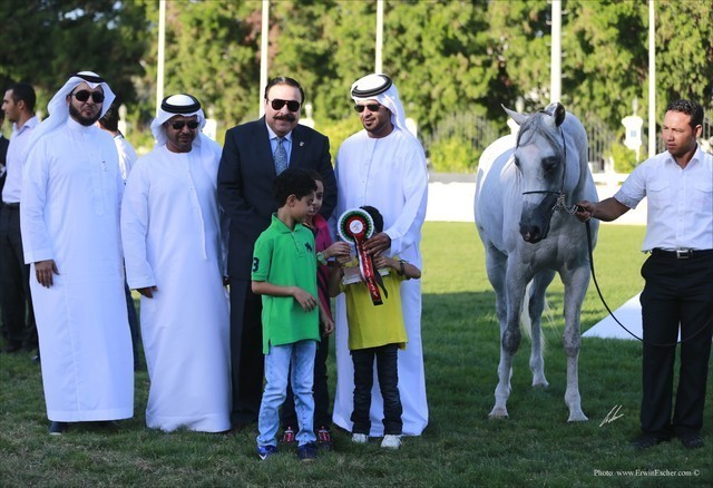 2013 Abu Dhabi Championships