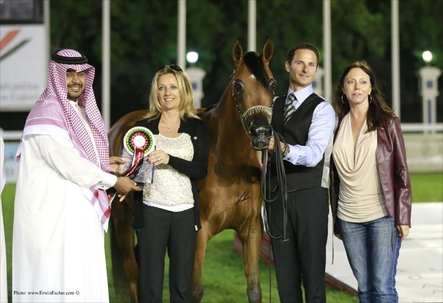 2013 Abu Dhabi Championships