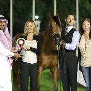 2013 Abu Dhabi Championships