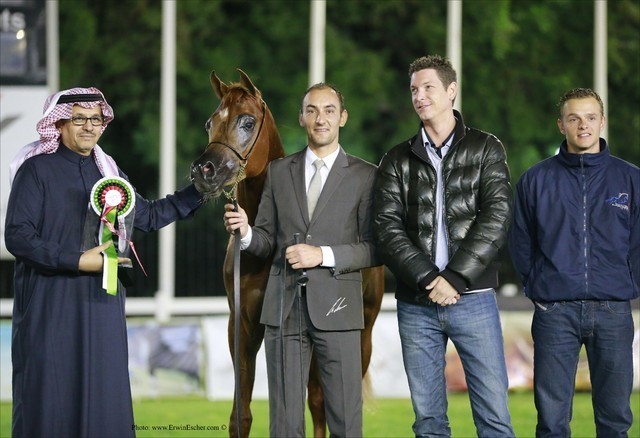 2013 Abu Dhabi Championships