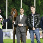 2013 Abu Dhabi Championships