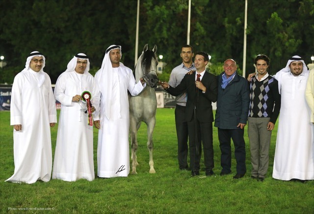 2013 Abu Dhabi Championships