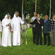 2013 Abu Dhabi Championships