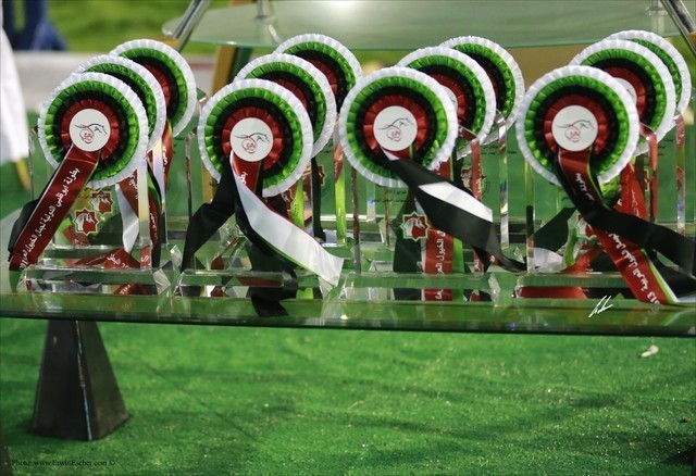 2013 Abu Dhabi Championships