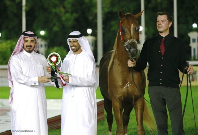 2013 Abu Dhabi Championships