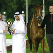 2013 Abu Dhabi Championships