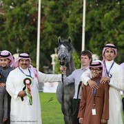 2013 Abu Dhabi Championships