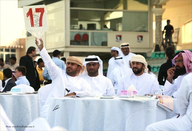 2013 Abu Dhabi Championships