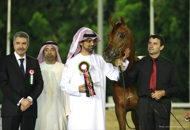 2013 Abu Dhabi Championships