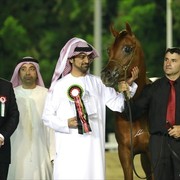 2013 Abu Dhabi Championships