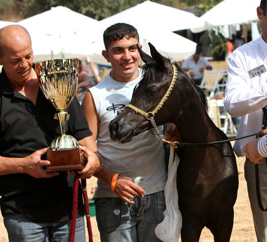 Salsabi lAl Jamal - Salsabi lAl Jamal