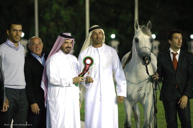 2013 Abu Dhabi Championships