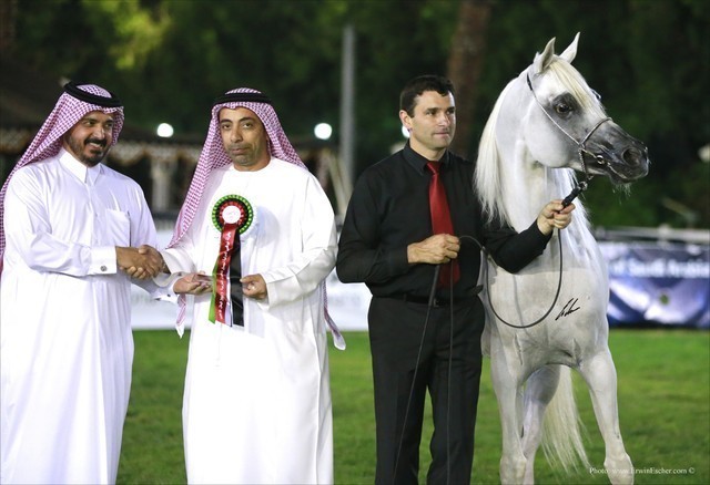 2013 Abu Dhabi Championships