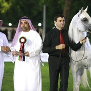 2013 Abu Dhabi Championships