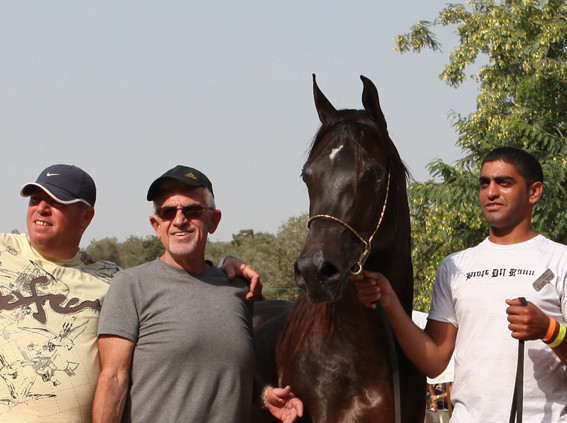 Hals Moonshadow - Hals Moonshadow