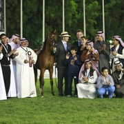 2013 Abu Dhabi Championships