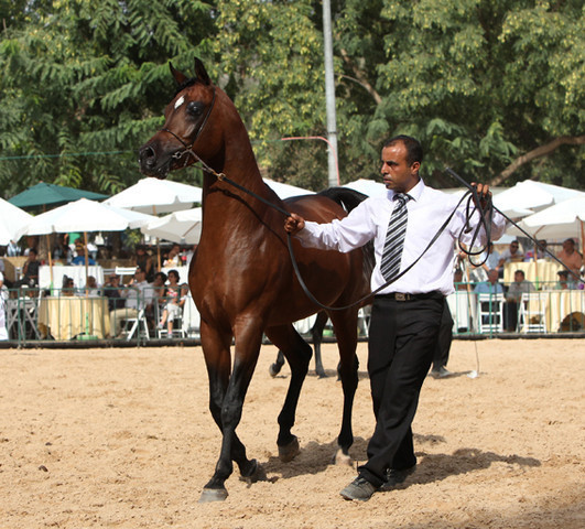 Buraq Al Nafous - Buraq Al Nafous