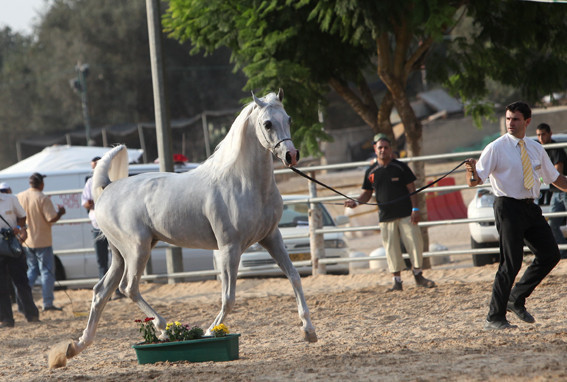 BKV Muadaar - BKV Muadaar