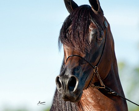 Marhaabah Legacy Group LLC