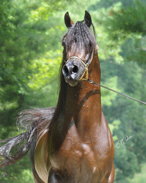 Marhaabah Legacy Group LLC