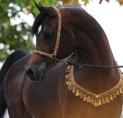 Midwest Station I - Bob Boggs