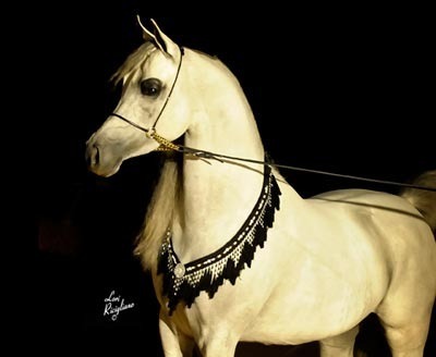 Midwest Station I - Bob Boggs