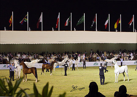 Al Khalediah Arabian Horse Festival