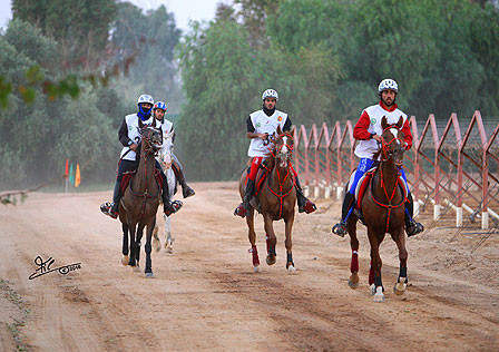 Al Khalediah Arabian Horse Festival