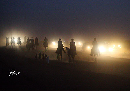 Al Khalediah Arabian Horse Festival