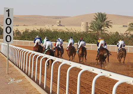 Al Khalediah Arabian Horse Festival