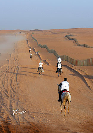 Al Khalediah Arabian Horse Festival