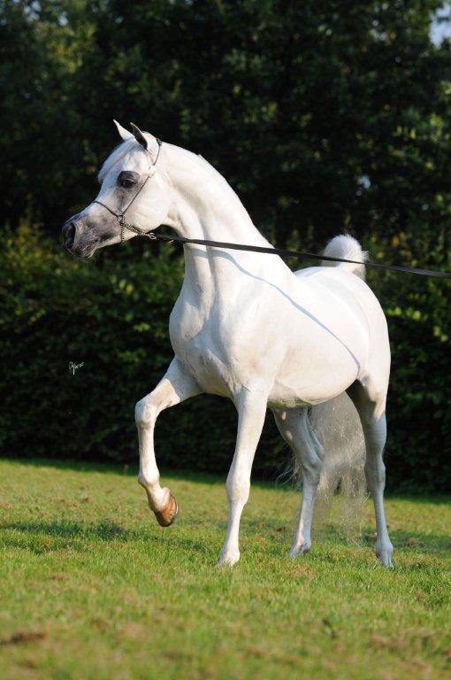 Schoukens Training Center