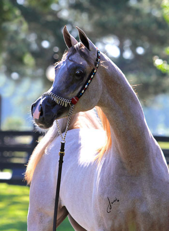 Ted Carson at Butler Farms Training Center